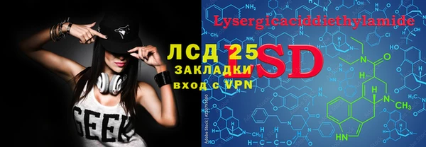 индика Белокуриха