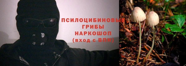 ешки Белоозёрский