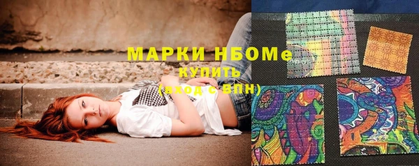 индика Белокуриха