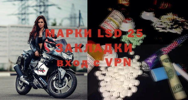 индика Белокуриха