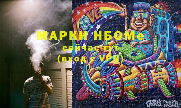 индика Белокуриха