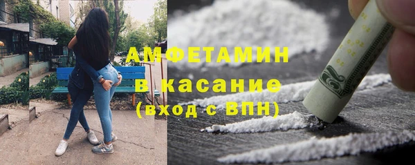 индика Белокуриха