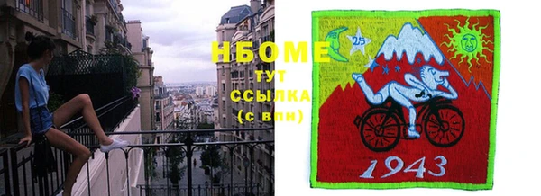 индика Белокуриха