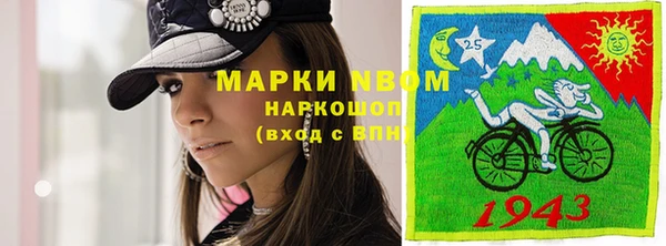 индика Белокуриха